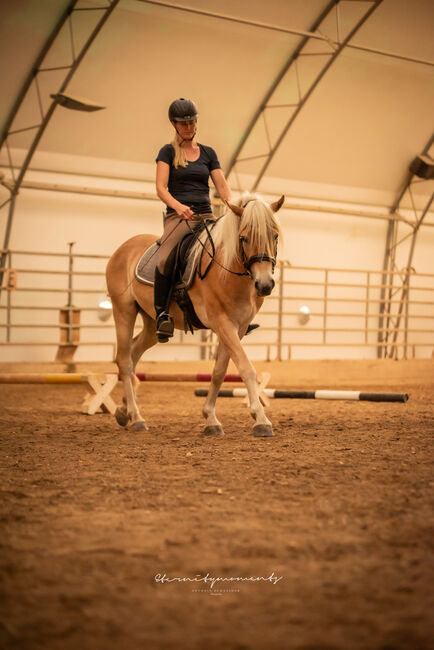 Wundervoller Haflinger Wallach, Johanna , Konie na sprzedaż, Schwarzenberg, Image 4