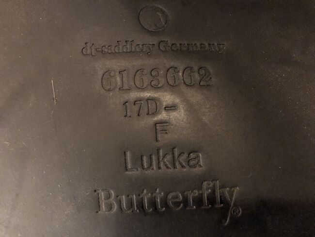 Butterfly Lukka, Butterfly  Lukka , Natascha Mayenfels , Siodła islandzkie, Ühlingen-Birkendorf, Image 6