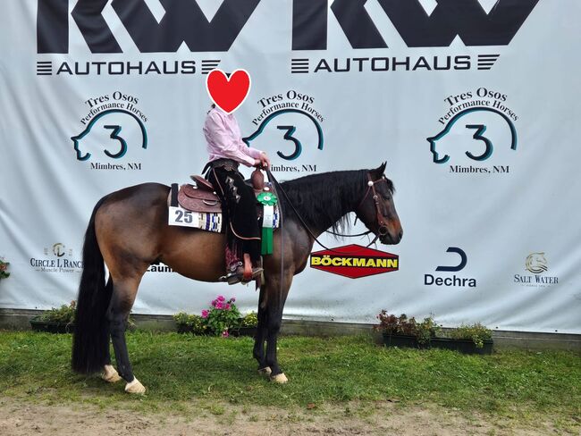 Der Traumpartner für Sport und Freizeit, Kerstin Rehbehn (Pferdemarketing Ost), Konie na sprzedaż, Nienburg