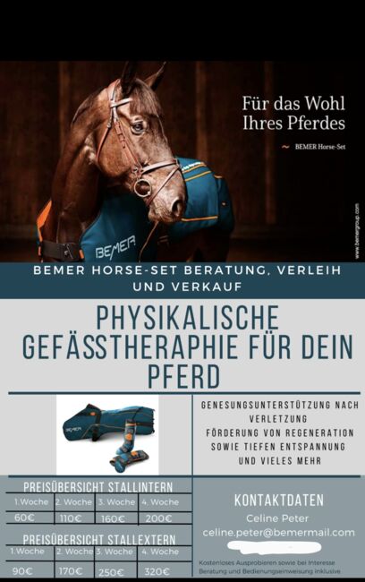 Bemer Horse Set Verleih, Bemer, Celine , Terapia i leczenie, Osnabrück 