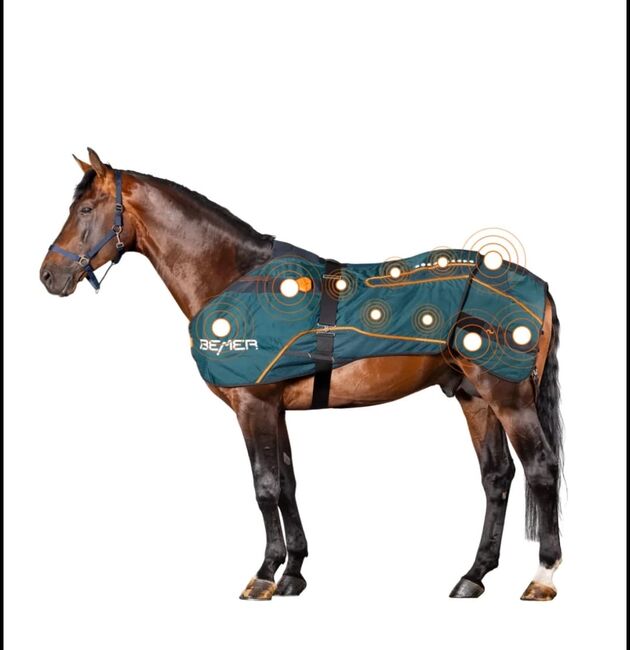 BEMER Horse-Set Vermietung, BEMER Horse-Set, Kristin Wilstermann, Terapia i leczenie, Wentorf A/S