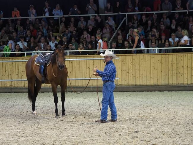 Großrahmige, ausdrucksstarke Quarter Horse Stute, Kerstin Rehbehn (Pferdemarketing Ost), Konie na sprzedaż, Nienburg, Image 7