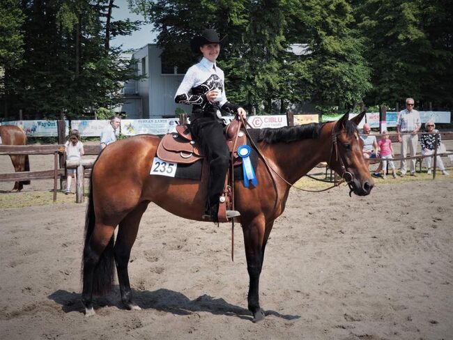 Großrahmige, ausdrucksstarke Quarter Horse Stute, Kerstin Rehbehn (Pferdemarketing Ost), Konie na sprzedaż, Nienburg, Image 5