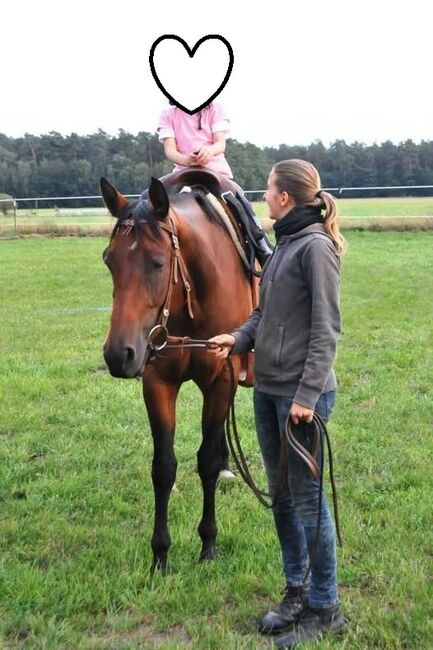 Großrahmige, ausdrucksstarke Quarter Horse Stute, Kerstin Rehbehn (Pferdemarketing Ost), Konie na sprzedaż, Nienburg, Image 3