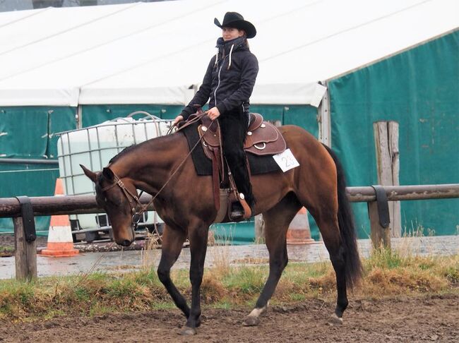 Großrahmige, ausdrucksstarke Quarter Horse Stute, Kerstin Rehbehn (Pferdemarketing Ost), Konie na sprzedaż, Nienburg, Image 8