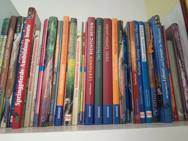 XL Pferde Buch Sammlung Sachbücher Fachliteratur, Miriam , Książki, Freiland bei Deutschlandsberg