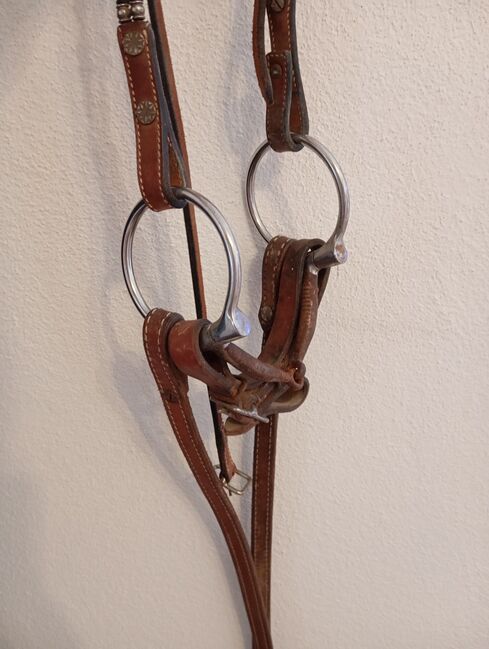 Westernreithalfter, Jessi, Nachrapniki, Waakirchen , Image 4