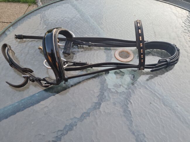 Weicher Trensenzaum mit Aurigan Gebiss, Ivy, Bridles & Headstalls, Sirksfelde