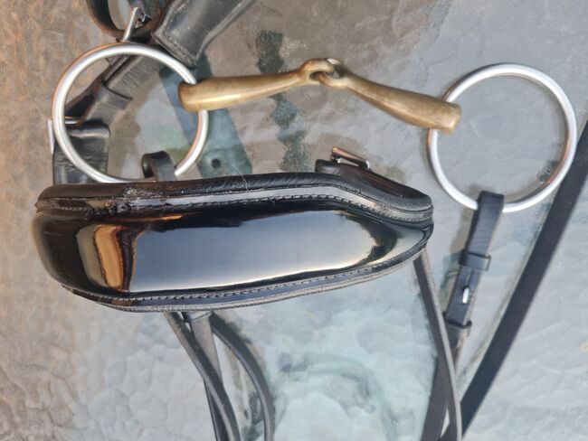 Weicher Trensenzaum mit Aurigan Gebiss, Ivy, Bridles & Headstalls, Sirksfelde, Image 5