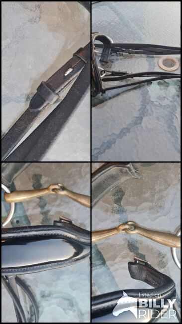 Weicher Trensenzaum mit Aurigan Gebiss, Ivy, Bridles & Headstalls, Sirksfelde, Image 6