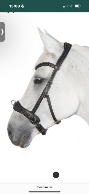 Kappzaum soft, Loesdau, Sara Mayer , Lunging, Giesdorf 