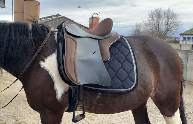Sattel 17 Zoll, Che Classical model , Athina, Dressage Saddle, Maintal