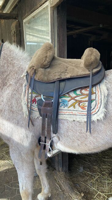 Sattel Barefoot Happy Valley gebraucht - sehr gut, Barefoot Happy Valley, Renate, Treeless Saddle, Kleve, Image 5
