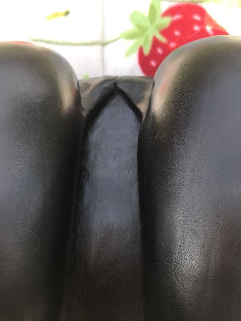 Sattel englisch, Passier Lenox, Solveig Gerick, All Purpose Saddle, Mühlenbeck, Image 13
