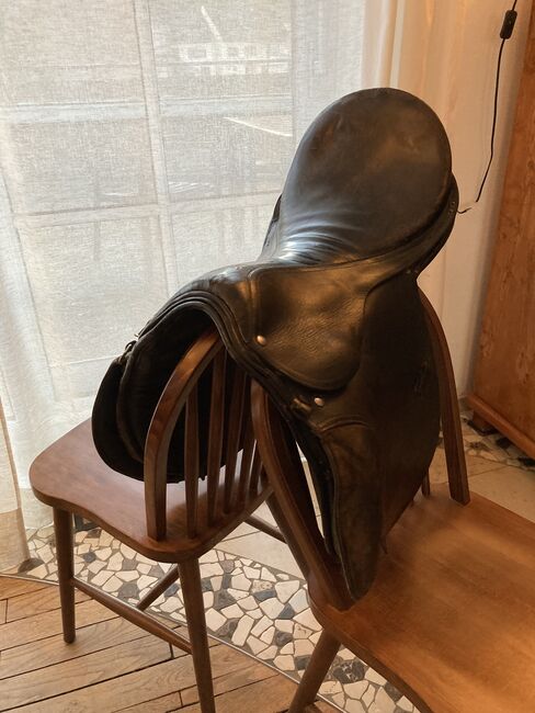 Sattel englisch schwarz, Haflinger , Niki, All Purpose Saddle, Bad Mergentheim, Image 2
