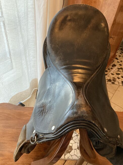 Sattel englisch schwarz, Haflinger , Niki, All Purpose Saddle, Bad Mergentheim, Image 3