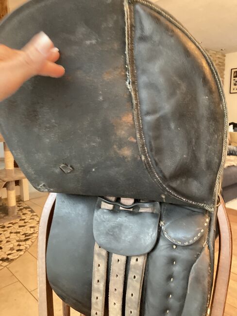 Sattel englisch schwarz, Haflinger , Niki, All Purpose Saddle, Bad Mergentheim, Image 11