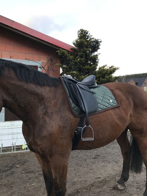 Sattel Ludemar, Ludemar  Jalama, Gabriela Clasen, Dressage Saddle, Hamburg , Image 10