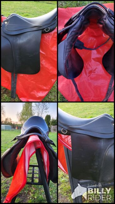 Sattel Prestige D1, Iceland Concept, Testsattel, Prestige D1 Iceland Concept, Heike, Icelandic Saddle, Mühlenberge, Image 8