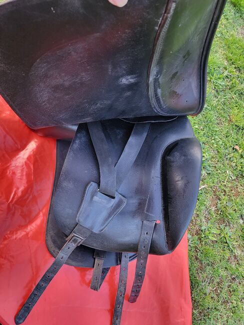 Sattel Prestige D1, Iceland Concept, Testsattel, Prestige D1 Iceland Concept, Heike, Icelandic Saddle, Mühlenberge, Image 7