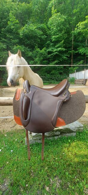 Sattel Sommer Spirit DS, Sommer Spirit DS, Silvia Lupinacci, Endurance Saddle, Vorra