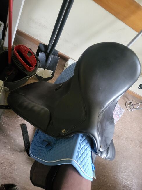 Sattel zu verkaufen, Busse  Bonheur , Scarlett, Dressage Saddle, Stolzenau , Image 4