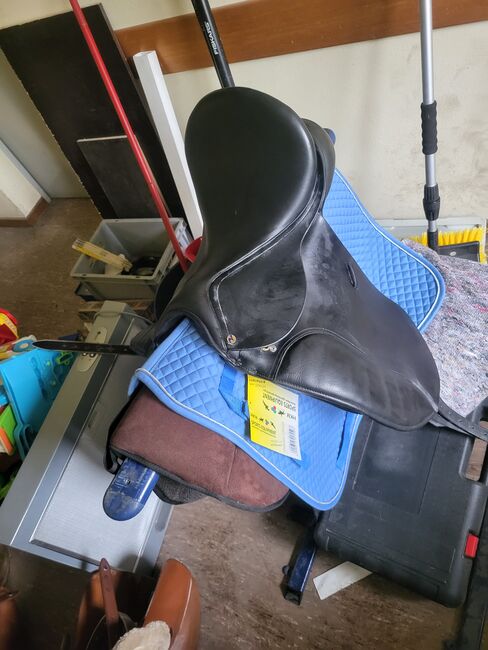 Sattel zu verkaufen, Busse  Bonheur , Scarlett, Dressage Saddle, Stolzenau 