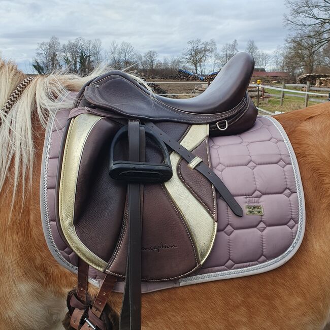 Sattel von Sattelkompass, Sattelkompass  Physioflex , Sabine Romer , Dressage Saddle, Penzing , Image 7