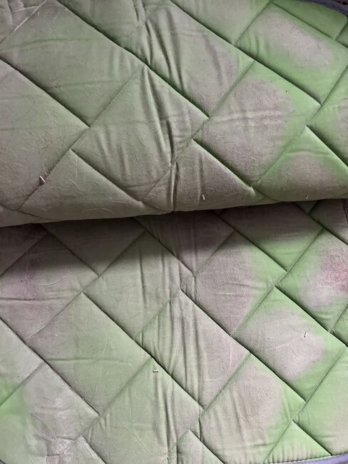 Schabracke Dressur, Sandra , Dressage Pads, Worms, Image 5