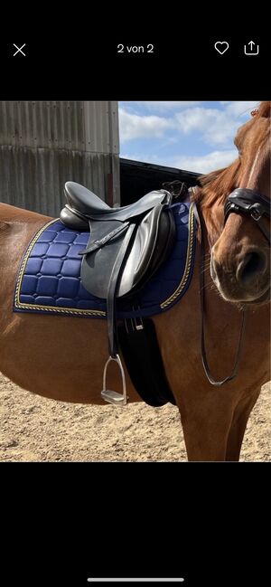 Schabracke Dressur, Equestbun, Heleen , Dressage Pads, Scharnebeck, Image 2