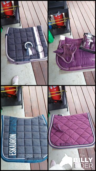 Schabracke, Eskadron, Black-Forest und Ride now , Marie, Dressage Pads, Diedorf , Image 5
