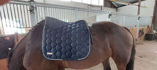 Schabracken, Claudia , Dressage Pads, hoort, Image 3