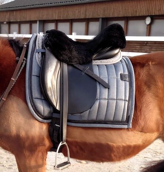 Sattelschoner, Harrys Horse, neuwertig, Harrys Horse, Janina Beilfuß, Saddle Accessories, Ahrensbök