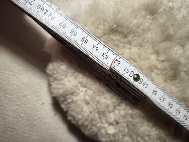Sattelgurt Schoner Lammfell, Nathalie , Girths & Cinches, Leverkusen, Image 5