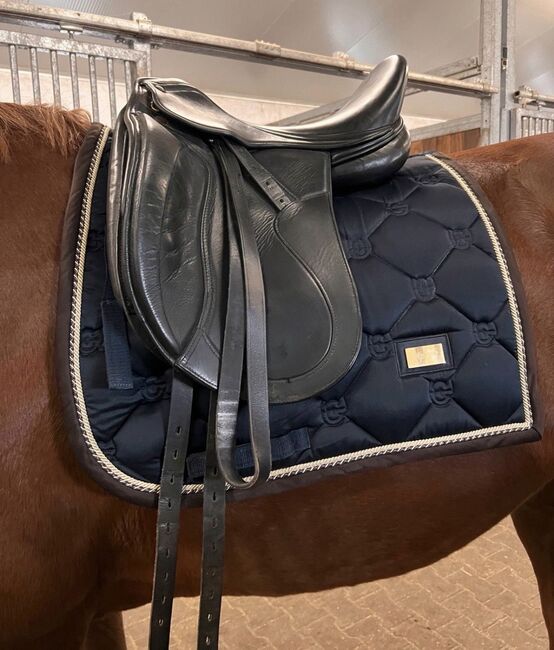 Zaldi Dressursattel, Zaldi , Mona, Dressage Saddle, Halle, Image 8