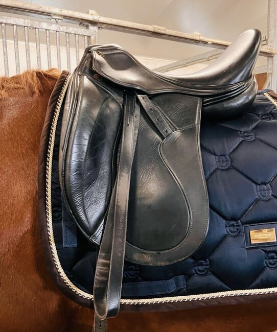 Zaldi Dressursattel, Zaldi , Mona, Dressage Saddle, Halle, Image 5