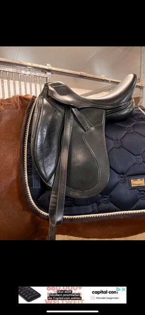 Zaldi Dressursattel, Zaldi, Mona, Dressage Saddle, Halle, Image 4