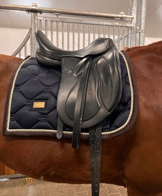 Zaldi Dressursattel, Zaldi, Mona, Dressage Saddle, Halle, Image 3