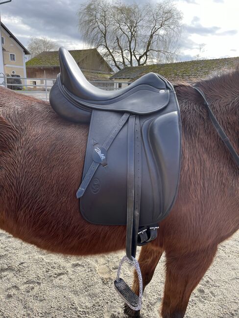 Zaldi Dressursattel „Millenium“, Zaldi Millenium, Stefanie Schindler, Dressage Saddle, Moosdorf, Image 2