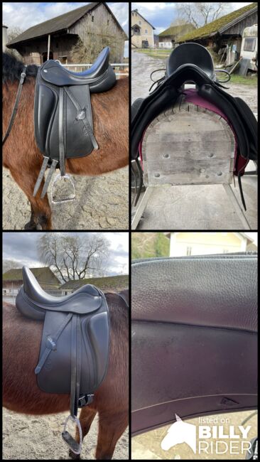 Zaldi Dressursattel „Millenium“, Zaldi Millenium, Stefanie Schindler, Dressage Saddle, Moosdorf, Image 12