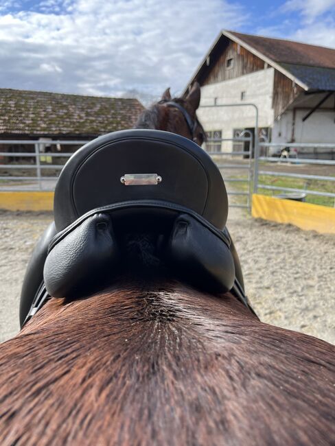 Zaldi Dressursattel „Millenium“, Zaldi Millenium, Stefanie Schindler, Dressage Saddle, Moosdorf, Image 3