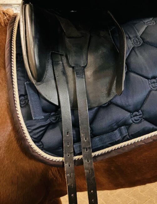 Zaldi Dressursattel, Zaldi , Mona, Dressage Saddle, Halle, Image 6