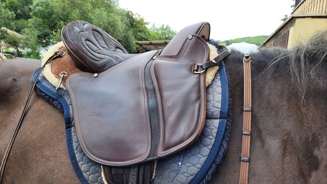Zaldi Raidler Wanderreitsattel, Zaldi Raidler, Andrea, Endurance Saddle, Rutsweiler am Glan
