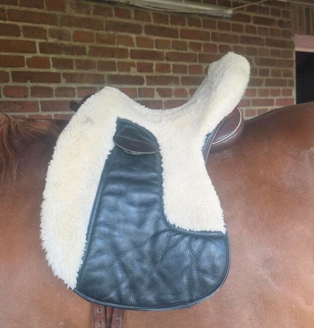 Zalea Lammfell, Zaldi, Sabrina , Saddle Accessories, Kempen