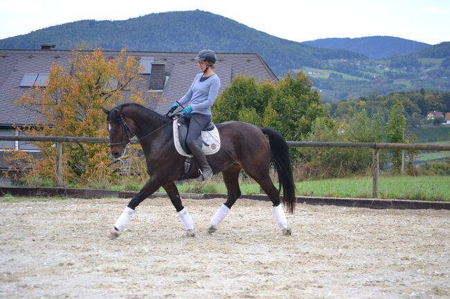 zarte Holsteinerstute mit dichter Mähne und feinem Herz, Junia-Elena Göslbauer, Konie na sprzedaż, St. Ruprecht a. d. Raab, Image 5
