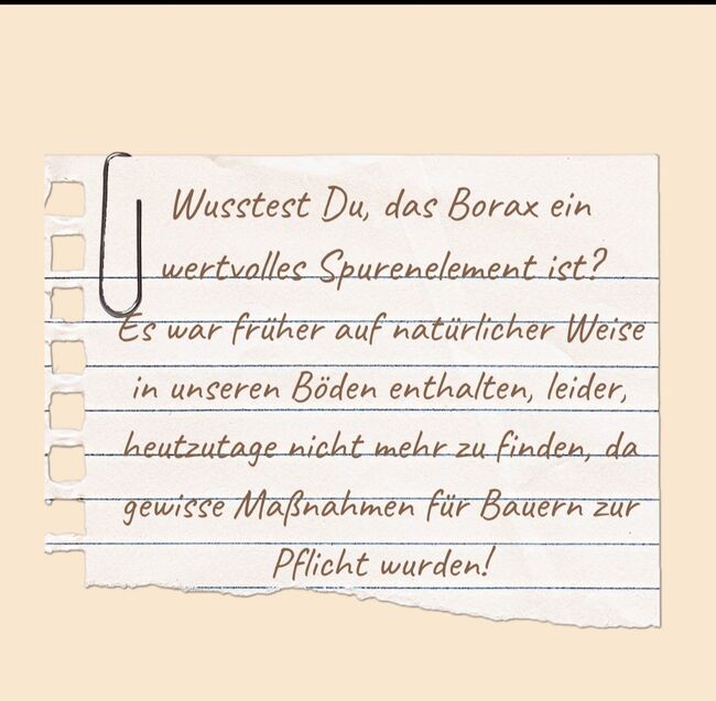 Arthrose stoppen 🛑, Naturnahgreen.com MiniKurs, Manuela Ehmann , Kursy i seminaria, Stangersdorf-Gewerbegebiet