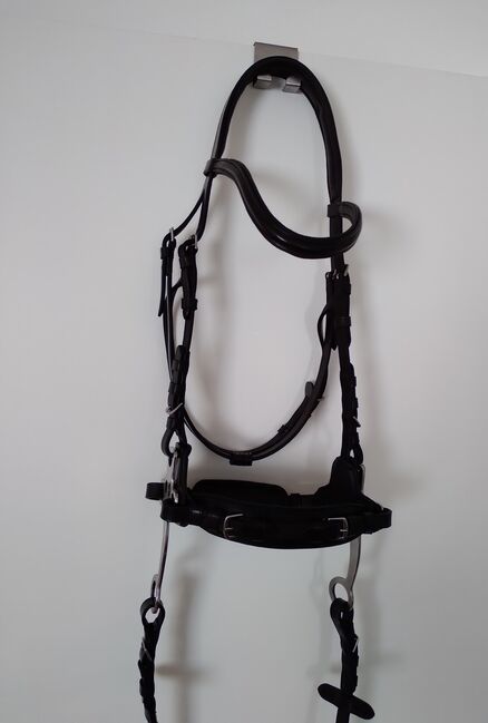 Zaumzeug Hackamore, Waldhausen  X-Line Zaum Hackamore, Ruth, Gebisslose Zäumungen, Remscheid