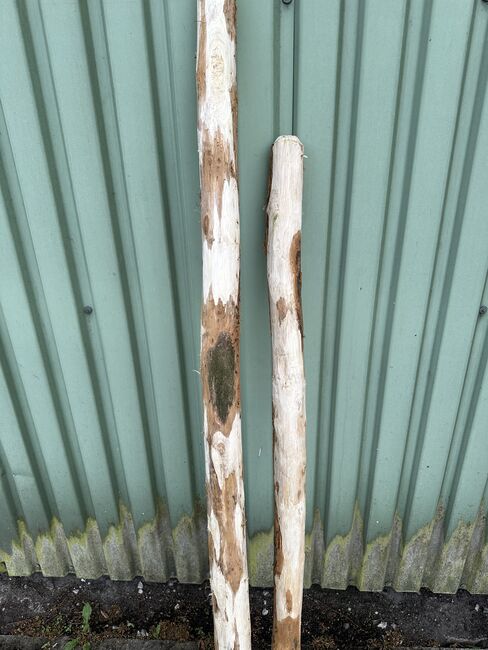 Zaunpfähle Rundpfähle Eichenpfähle Pferdezaun Weidepfähle Koppelzaun, Holz Mügge Zaunpfähle Rundpfähle Eichenpfähle Pferdezaun Weidepfähle Koppelzaun, Kjell Mügge, Weidezaunzubehör, Elmshorn , Abbildung 4