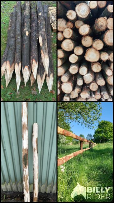 Zaunpfähle Rundpfähle Eichenpfähle Pferdezaun Weidepfähle Koppelzaun, Holz Mügge Zaunpfähle Rundpfähle Eichenpfähle Pferdezaun Weidepfähle Koppelzaun, Kjell Mügge, Weidezaunzubehör, Elmshorn , Abbildung 6