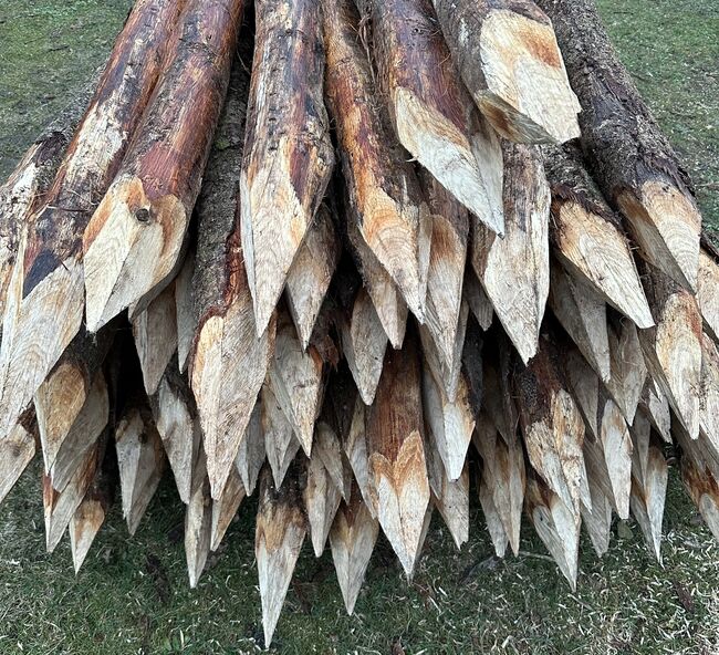 Zaunpfähle Rundpfähle Eichenpfähle Pferdezaun Weidepfähle Koppelzaun, Holz Mügge Zaunpfähle Rundpfähle Eichenpfähle Pferdezaun Weidepfähle Koppelzaun, Kjell Mügge, Weidezaunzubehör, Elmshorn , Abbildung 3